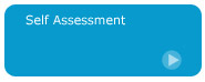 Self Assessment